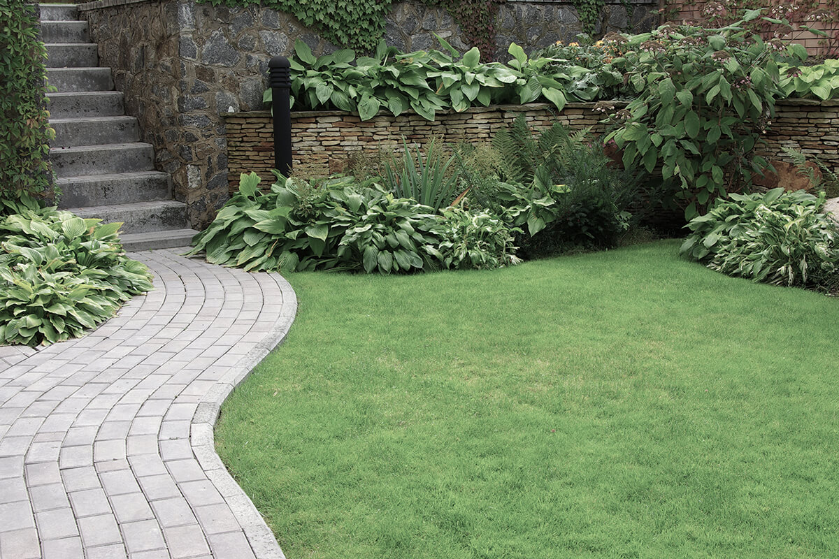 Welcome to Asbury Landscaping